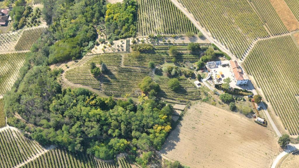 مبيت وإفطار كوستيليولي دستي Cascina San Michele المظهر الخارجي الصورة