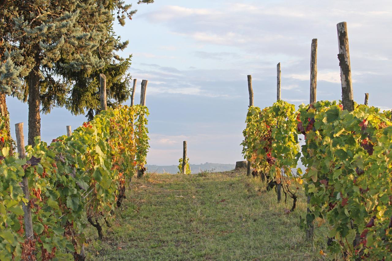 مبيت وإفطار كوستيليولي دستي Cascina San Michele المظهر الخارجي الصورة
